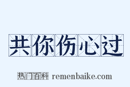 共你伤心过是什么意思的图片